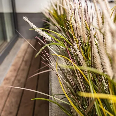 Milano - Casselbergh Residences アパート オステンド