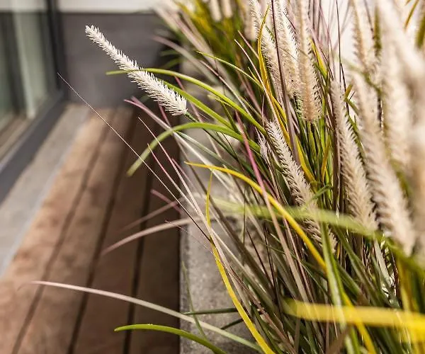 Milano - Casselbergh Residences Apartment Ostend